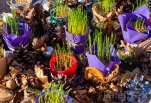 Mir Božiji – Hristos se rodi!