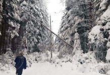 Bez struje osam sela, lokalni putevi očišćeni