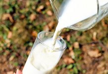 Očekuje se proizvodnja na prošlogodišnjem nivou