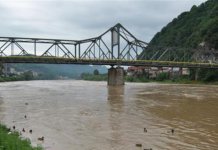 Desetak ilegalnih migranata prešlo Drinu