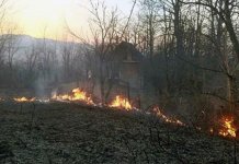 Za sedam časova ugašena tri požara