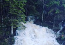 Nezapamćen porast vodostaja na vrelu Miljacke