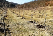 Konkurs za dodjelu sredstava za razvoj privrede i poljoprivrede