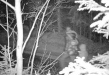 Pronađene baka i unuka koje su zalutale tokom šetnje