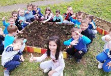 Mališani sadili jagode