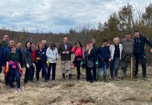 U pošumljavanju pomogli radnici iz direkcije „Šuma“