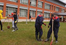 U dvorištu škole posađeno 50 sadnica različitih kultura