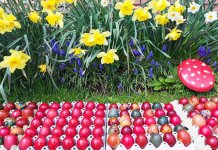 Vaskršnja jaja za ugrožene kategorije stanovništva