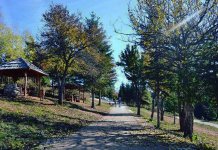 Pokrenute aktivnosti za proglašenje Trebevića parkom prirode