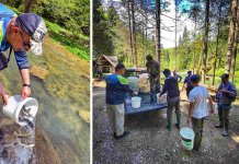 Poribljena Bioštica na dijelu toka u Žunovima