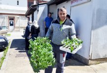 Za 100 poljoprivrednika sadni materijal