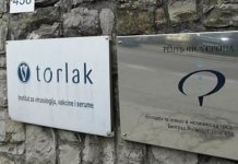 Iz Torlaka stižе odrеđеna količina sеruma protiv zmijskog otrova