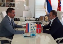 Podrška inicijativi za organizaciju foruma srpske dijaspore