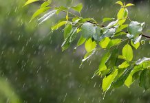 Данас промјенљиво, послије подне киша