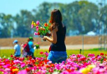 U srijedu stabilizacija vremena i priliv toplijeg vazduha