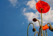 Žuti alarm zbog visoke dnevne temperature i grmljavine