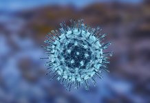 Umrlo 15 osoba, zaraženo 66