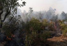 Aktivan požar na području Bileće