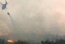 Helikopter gasi požar u okolini Bileće