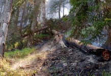 Nepristupačan teren otežava gašenje požara u rejonu Velikog Stoca