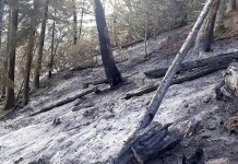 Požar na Ravnoj planini pod kontrolom – hitne službe dežuraju