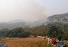 Požarna linija na Zupcima pet kilometara, vatra pod kontrolom