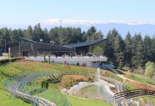 Lažna dojava o bombi u „Sanilendu“