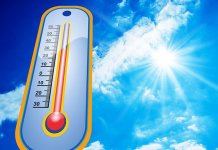 Danas i do 35 stepeni Celzijusovih