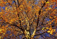 Do kraja oktobra stabilno i suvo