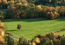 Danas sunčano i toplije