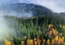 И даље топлије од просјека, прве најаве говоре о блажој зими