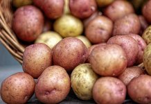 Sutra podjela sjemenskih paketa