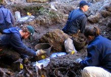 Svе jе nеlеgalno u Institutu za nеstalе