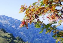 Narednih dana sunčano i toplo, uz promjenljivu oblačnost