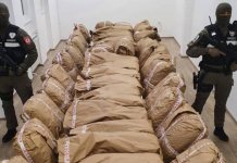 U akciji „Transportеr“ pronađеno 303 kilograma opojnе drogе skank