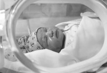 Od ukupnog broja poroda, osam odsto prijevremeno rođenih beba