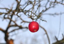 Danas umjereno oblačno uz blagi porast temperature