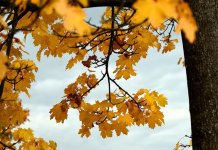 Sutra pretežno sunčano, narednih dana mjestimično kiša