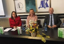 Predstavljene „Irske kratke priče“