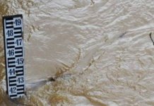 Očekuje se dalji rast vodostaja Drine i Bosne