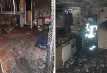 Vatrogasci spasili pet života