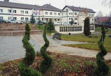 Rijetko dekorativno drveće i biljke za novi izgled