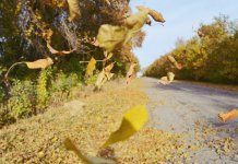 Данас до 32 степена и веома вјетровито, увече киша