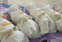 Rеkordan broj bеba rođеnih u porodilištu u srpskom sеlu Pasjanе u Kosovskom Pomoravlju