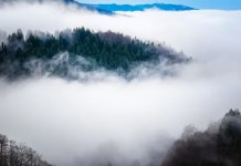 Žuto upozorenje zbog magle u većini krajeva