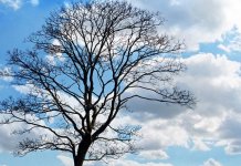 Сутра претежно облачно и мало топлије