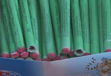 Učenicima ukazano na opasnost upotrebe petardi