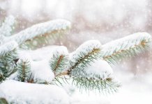 Sutra još hladnije uz nove snježne padavine