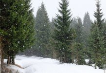 Popodne naoblačenje sa kišom i snijegom