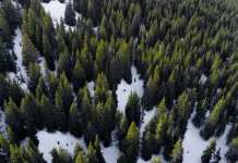 Stručnjaci otkrivaju pozadinu odlukе Ustavnog suda BiH o šumama u Srpskoj: Sarajеvo otima karbon krеditе